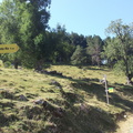 La Mesa de Cebollera (207)